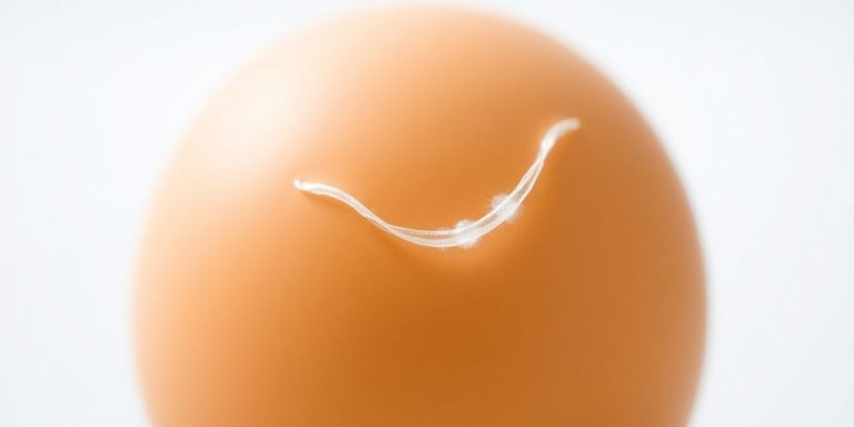 Single egg with a protein strand emerging.